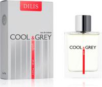 DILIS La Vie Cool & Grey Sport men 100 ml edt