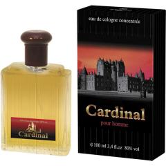 BROCARD Parfums Eternel Cardinal men 100 ml edc