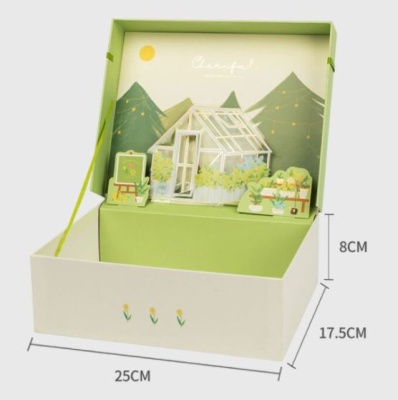Коробка подарочная с объемной иллюстрацией 25*17*8 см, зеленая с домиком